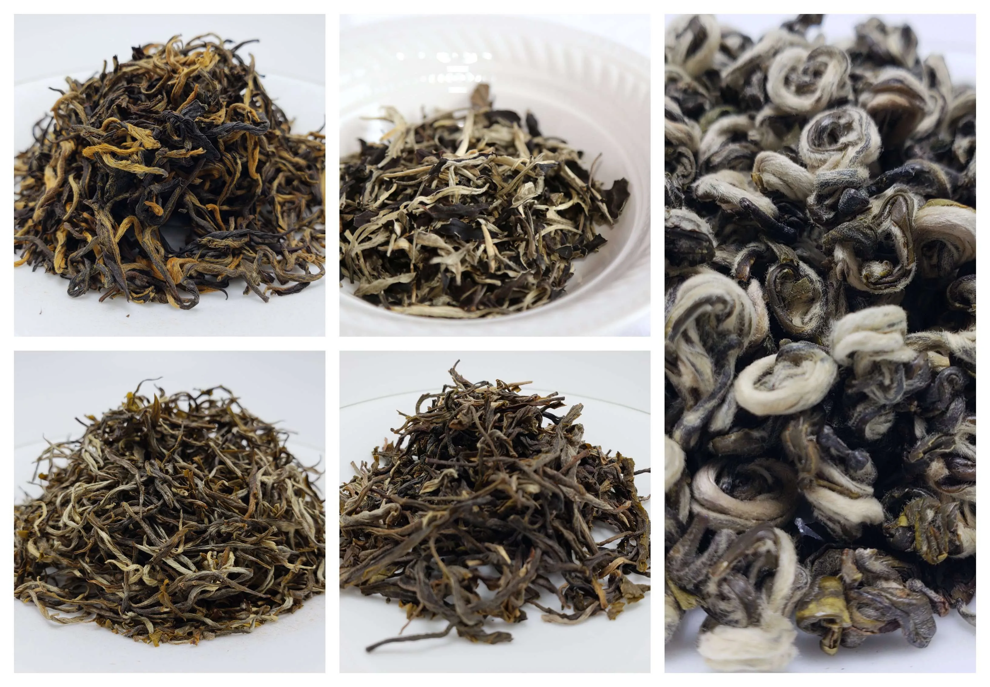 Best Sellers Loose Leaf Tea Sampler