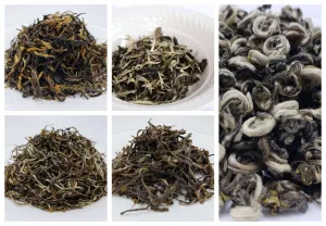 Best Sellers Loose Leaf Tea Sampler