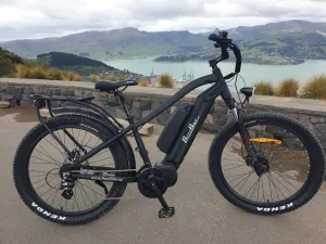 BUZZ BIKE TT Deluxe Mid Drive Duo Battery 26" X 4" BLACK