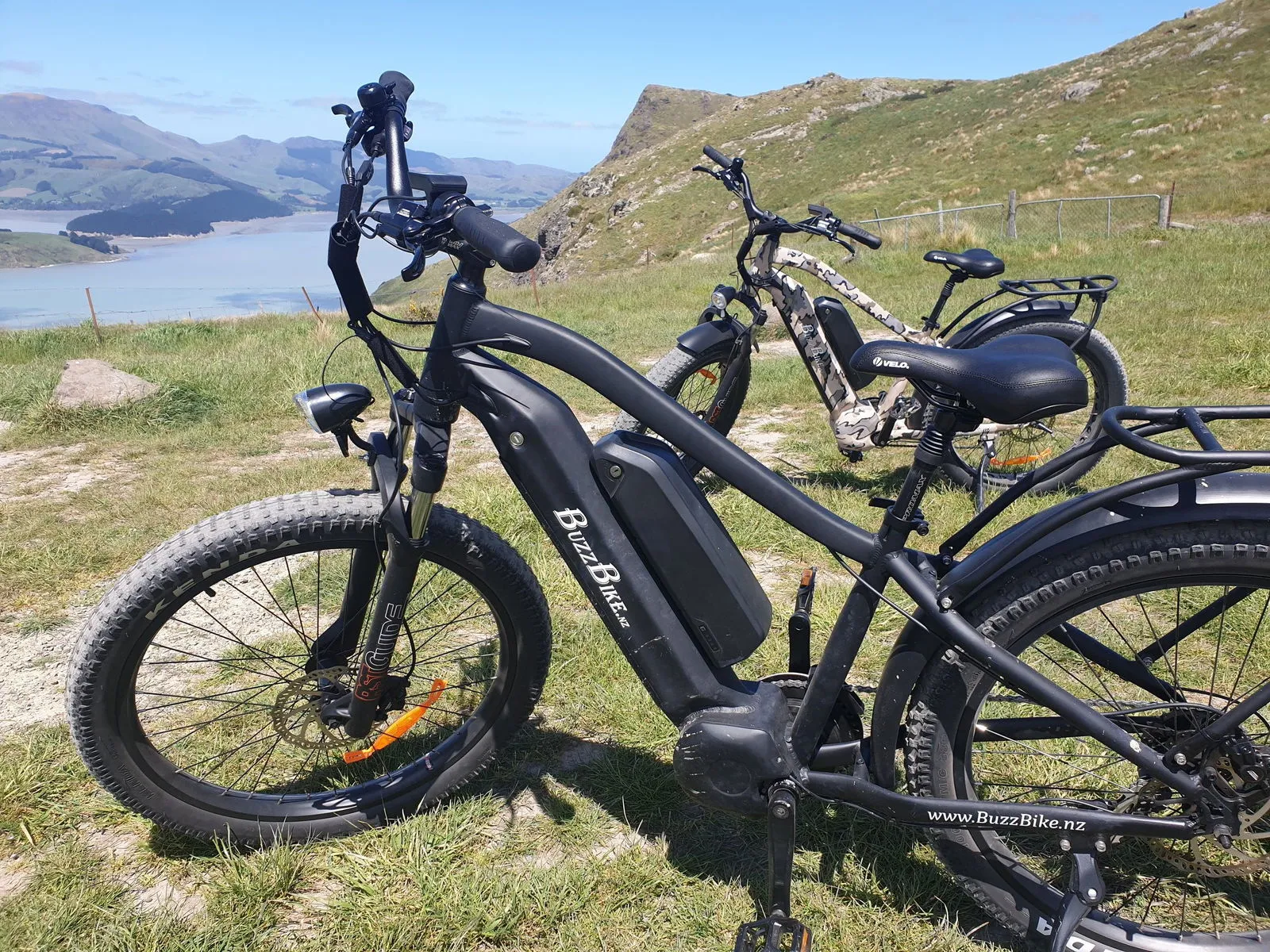 BUZZ BIKE TT Deluxe Mid Drive Duo Battery 26" X 4" BLACK