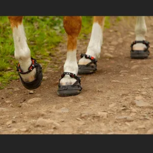 Explora Magic Hoof Boots - ONE PAIR, by Horse Solution