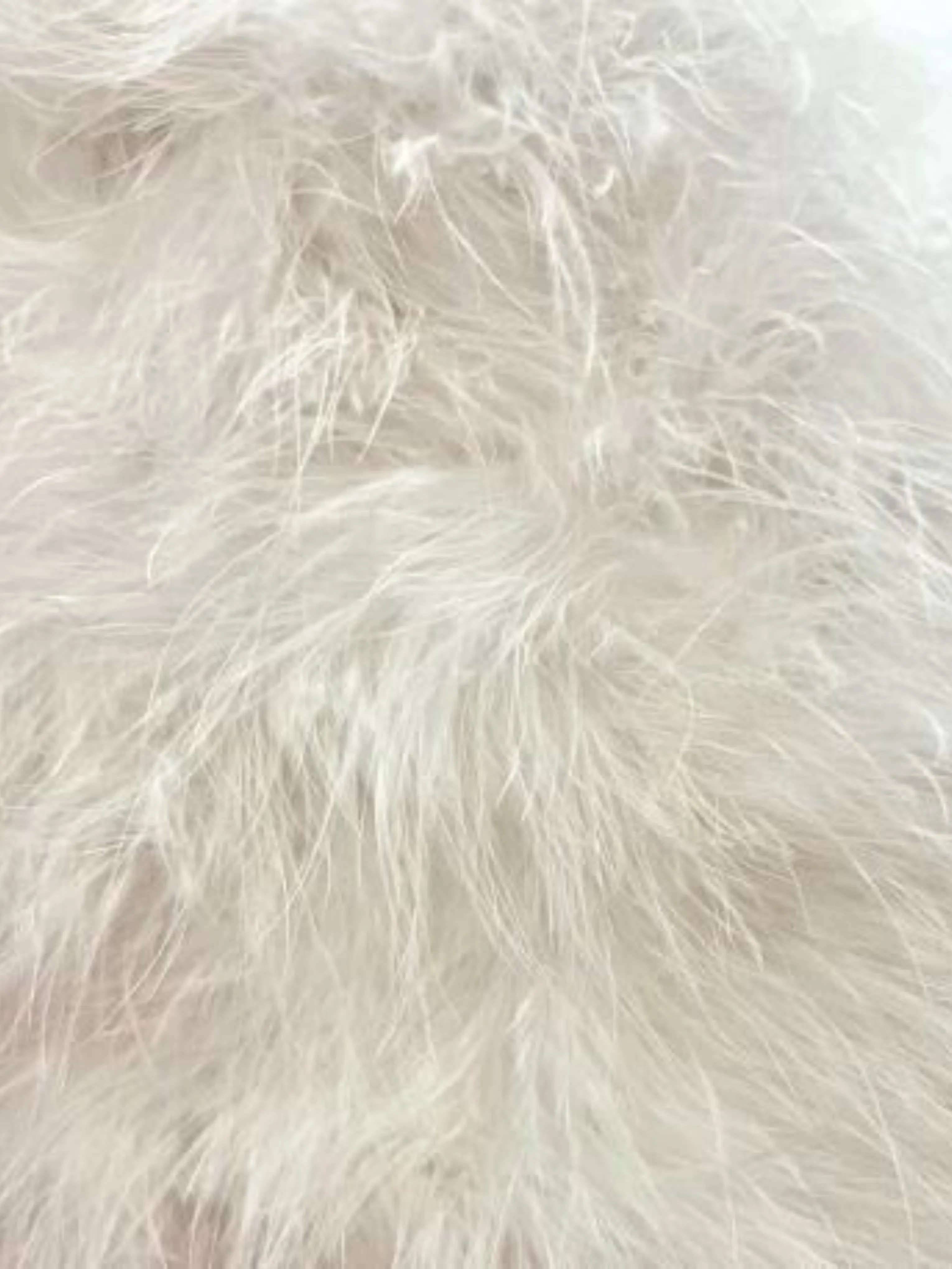 Feather Boloro in Ivory