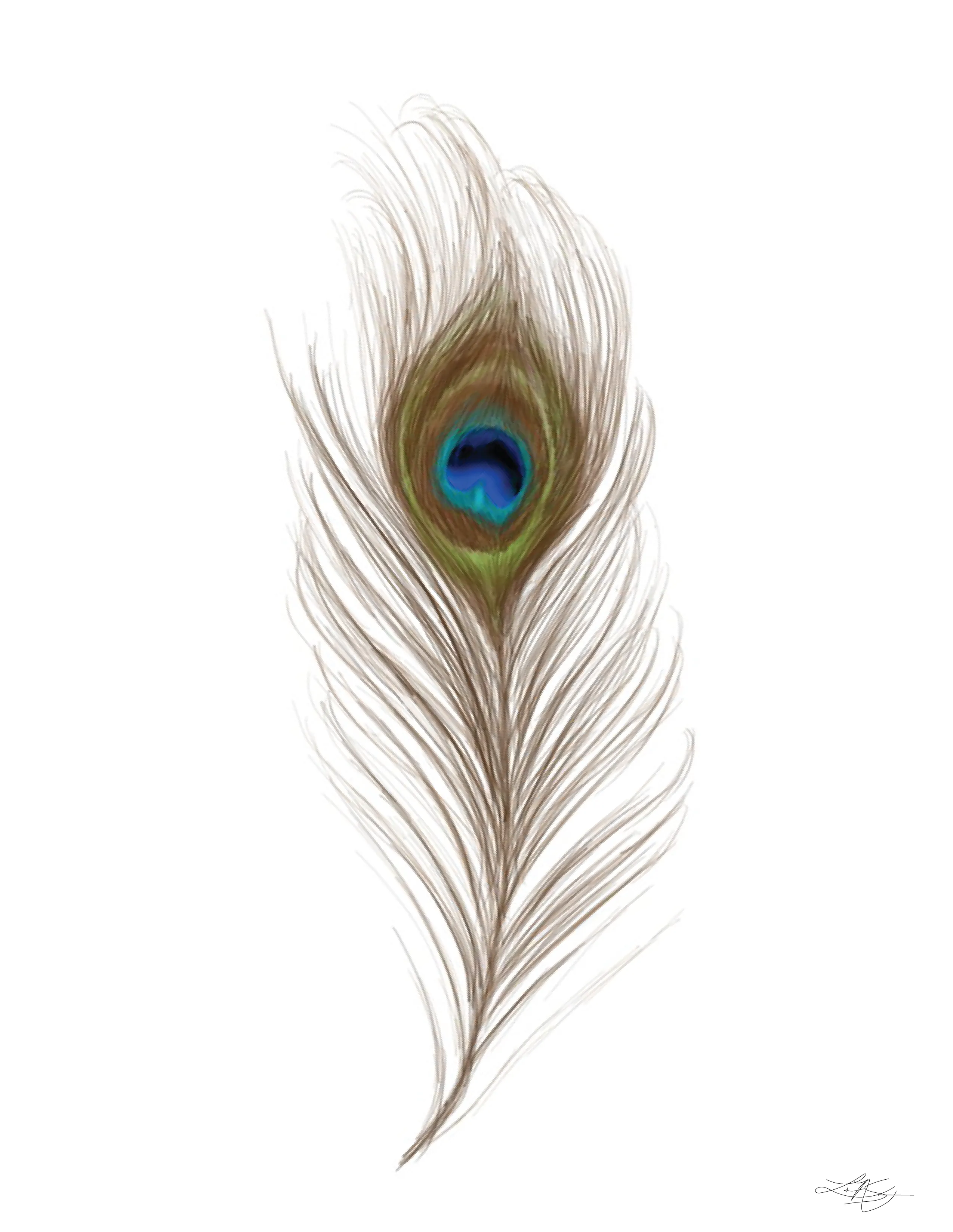 Feather