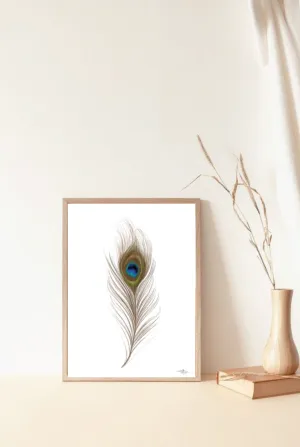Feather