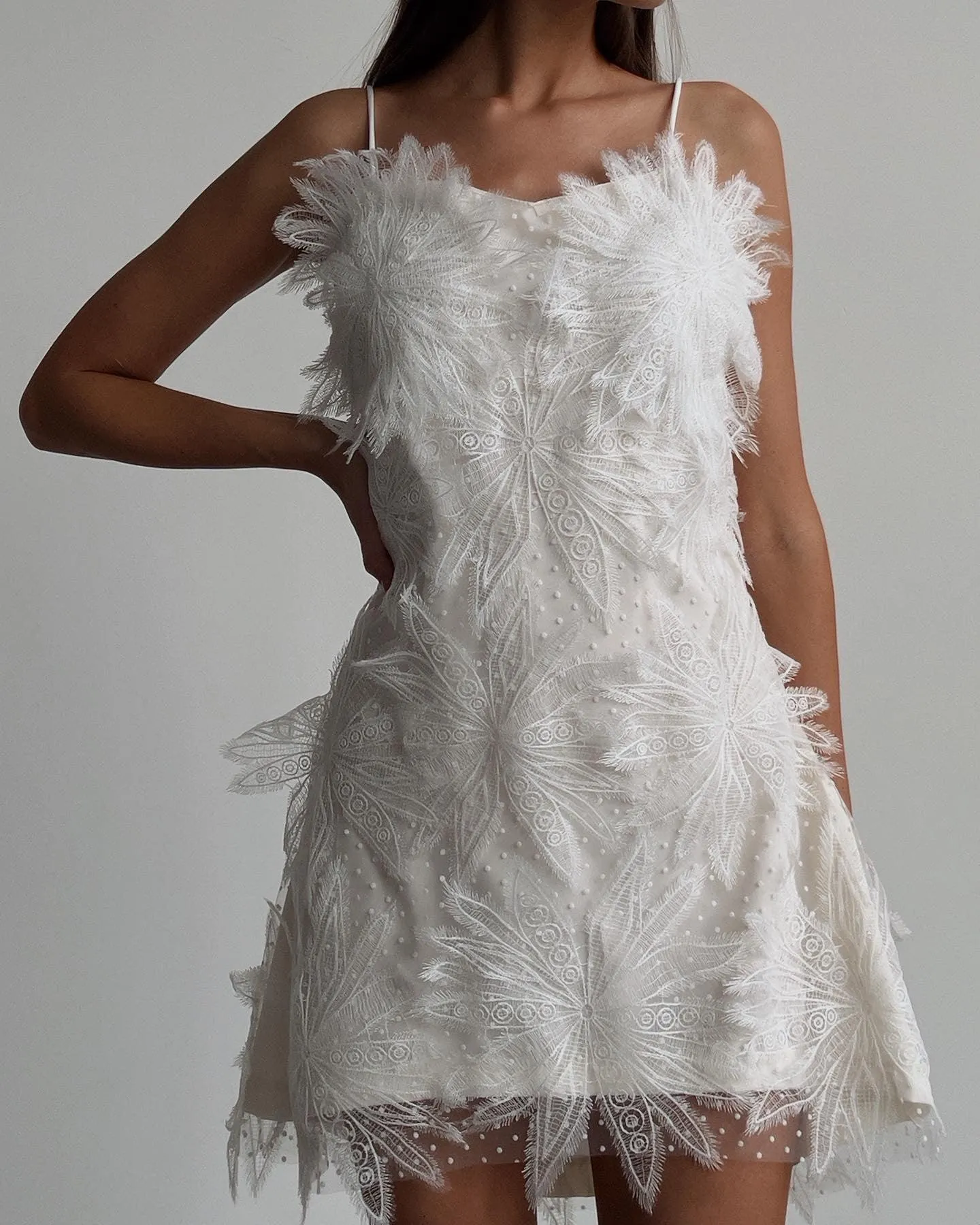 Feathered Elegance Mini Dress