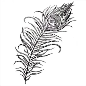 Look No Feather