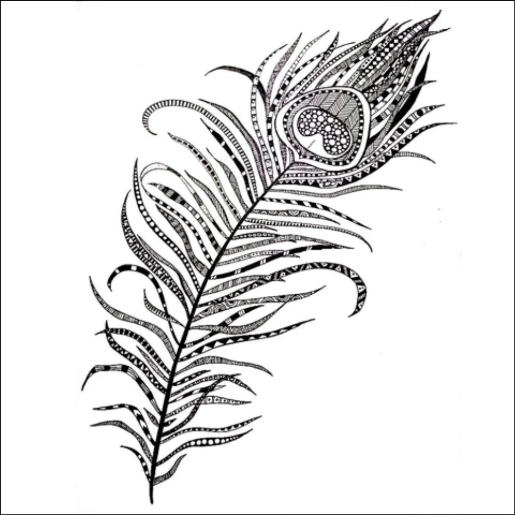 Look No Feather