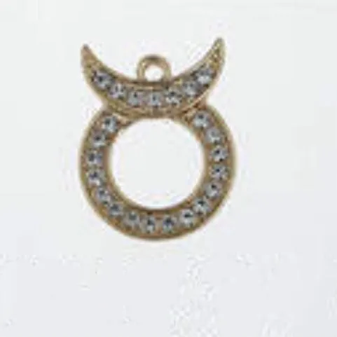 METAL SHOE CHARMS - BLINGY ZODIAC