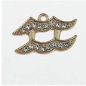 METAL SHOE CHARMS - BLINGY ZODIAC