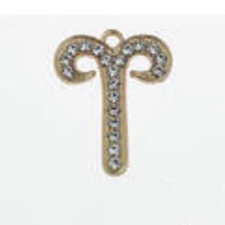 METAL SHOE CHARMS - BLINGY ZODIAC