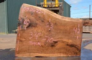 Oregon Black Walnut Slab 082622-01