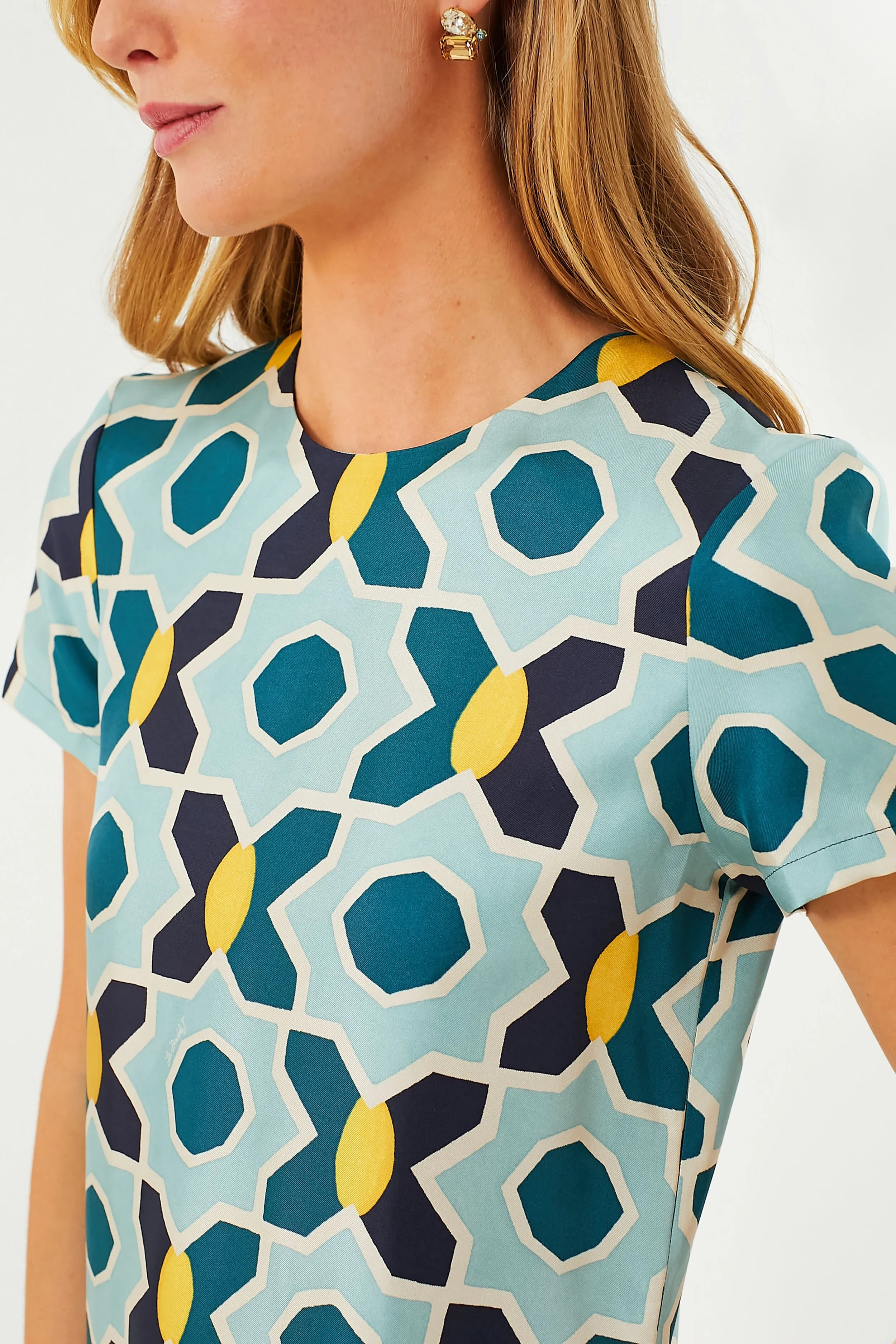 Plaza Swing Dress with Feathers