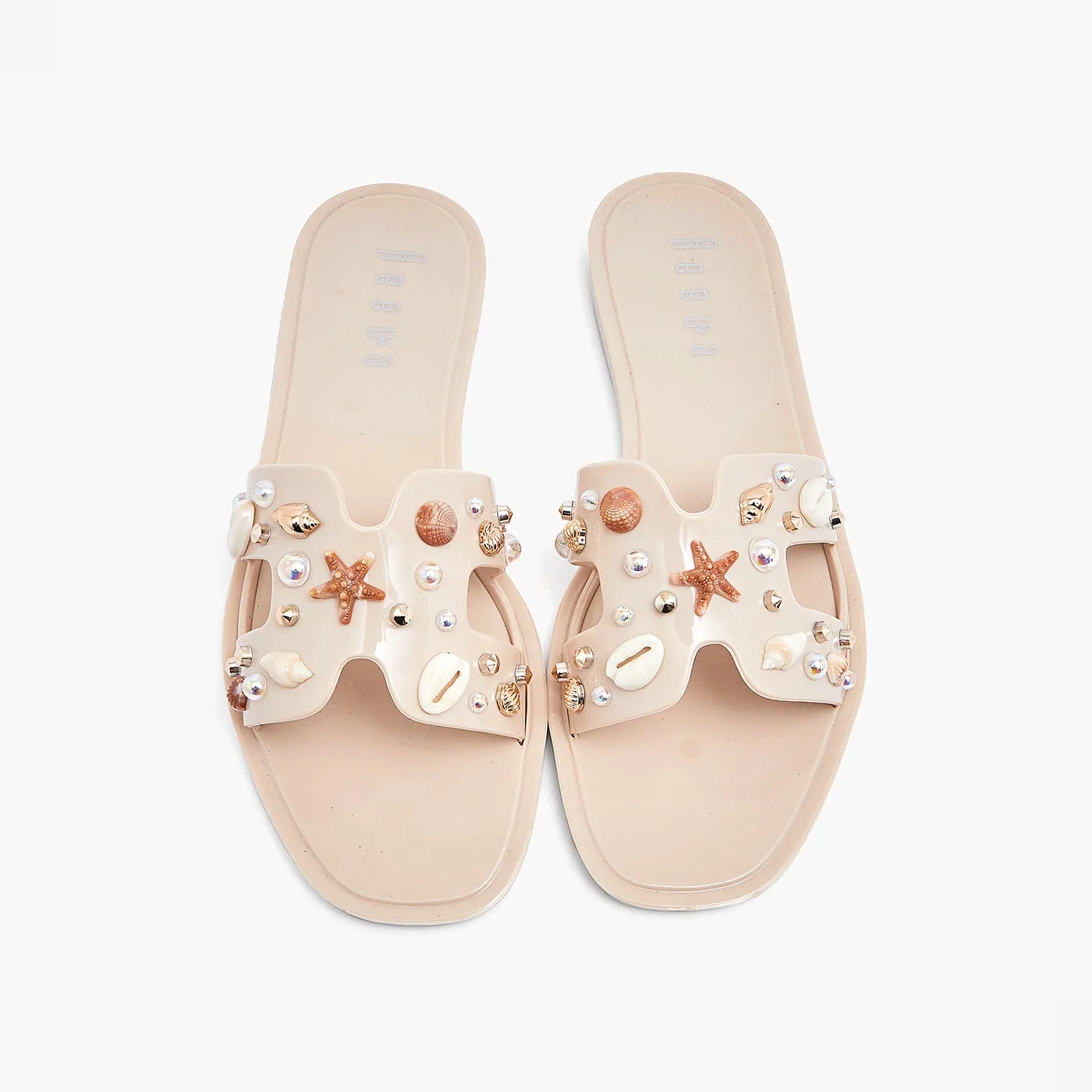 Sea Shells Flats