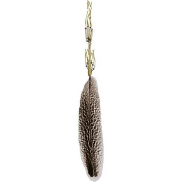 Smudge Feather