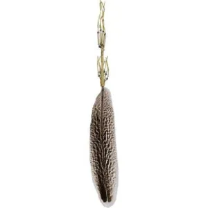 Smudge Feather