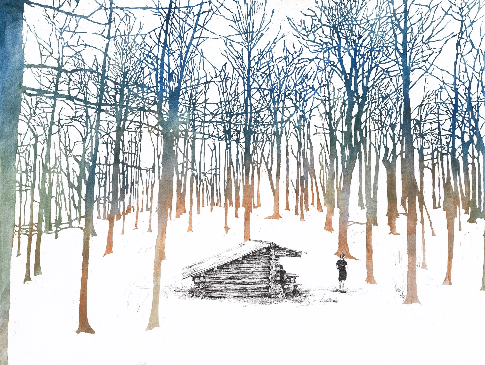 Spring Mountain Shelter, Tennessee, [ 35.95177, -82.79007 ]