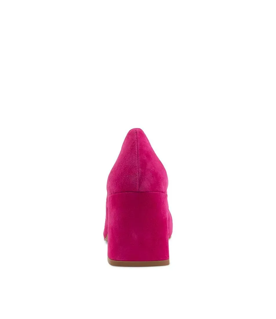 Ted
