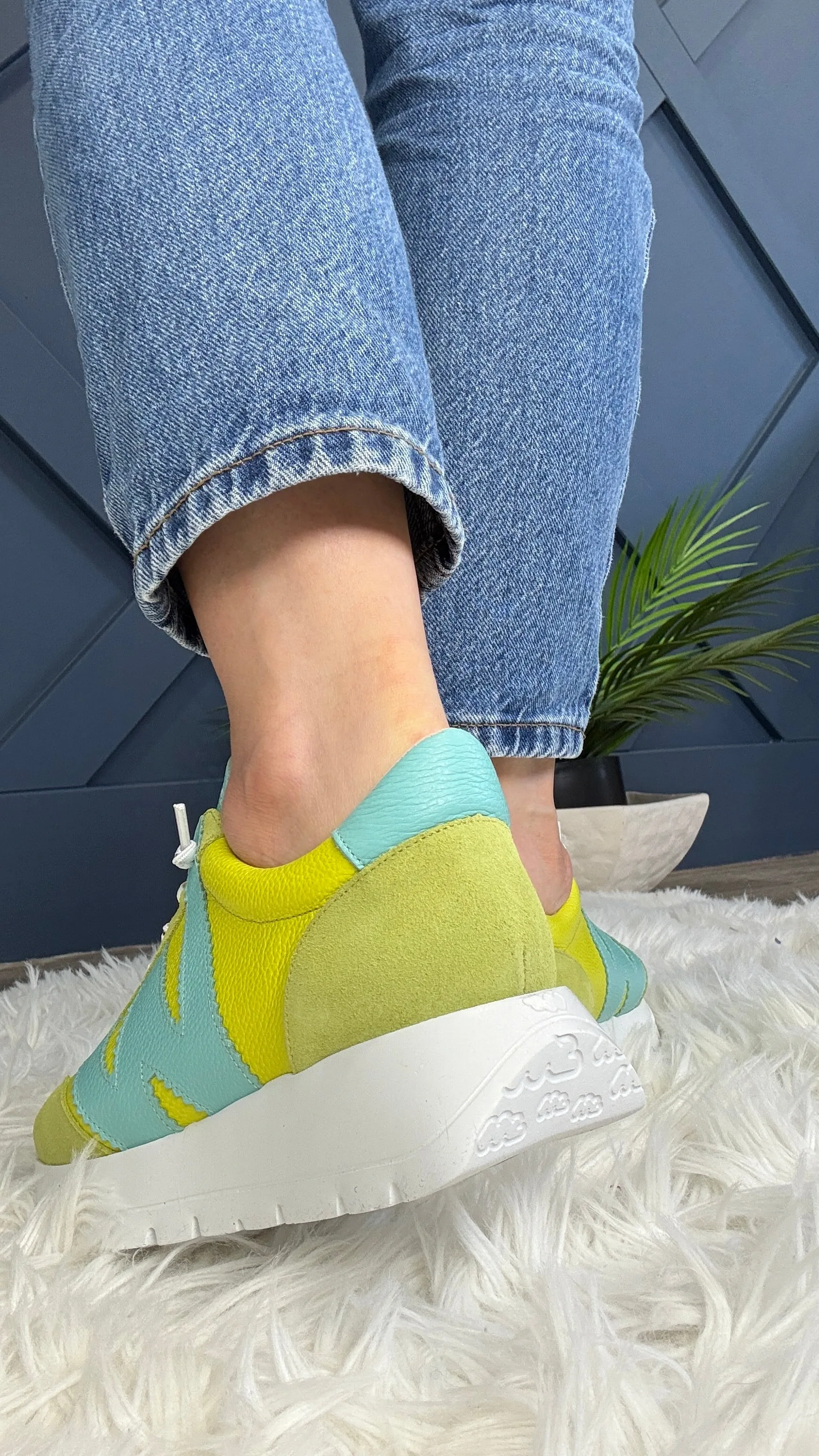 Wonders Jessie Trainer