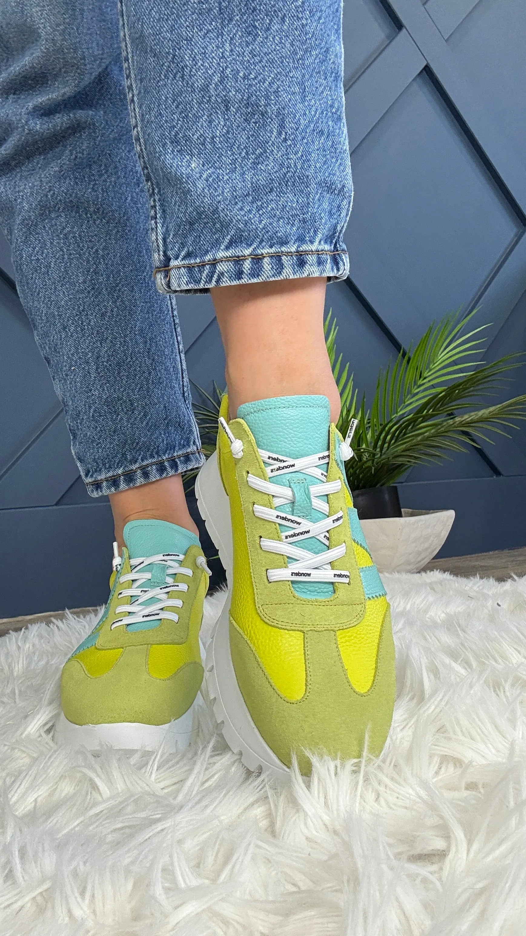 Wonders Jessie Trainer