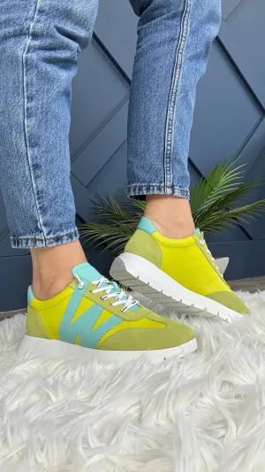 Wonders Jessie Trainer