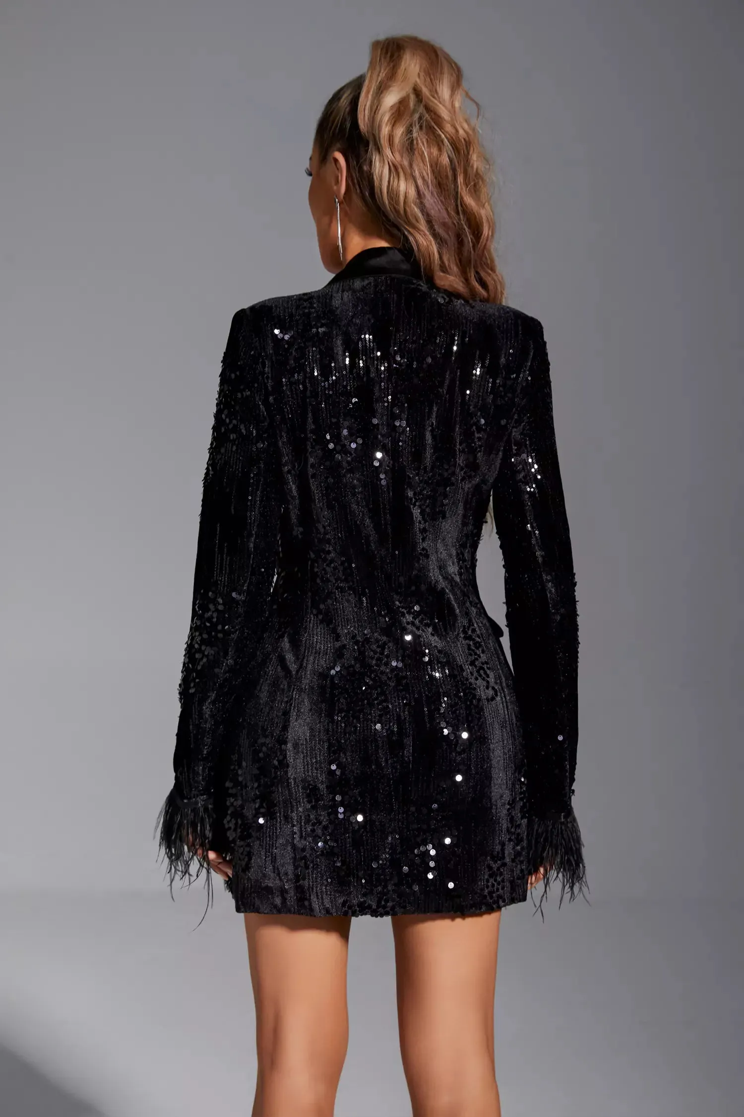 Wynter Black Feather Blazer Satin Dress